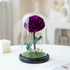 Little Prince Garden – Eternal Flower Scene