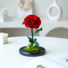 Little Prince Garden – Eternal Flower Scene