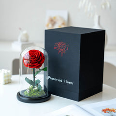 Little Prince Garden – Eternal Flower Scene